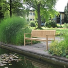 Teak 07